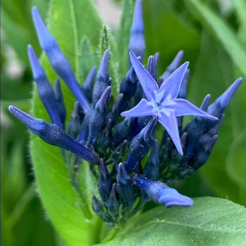 Pre-loved and new items